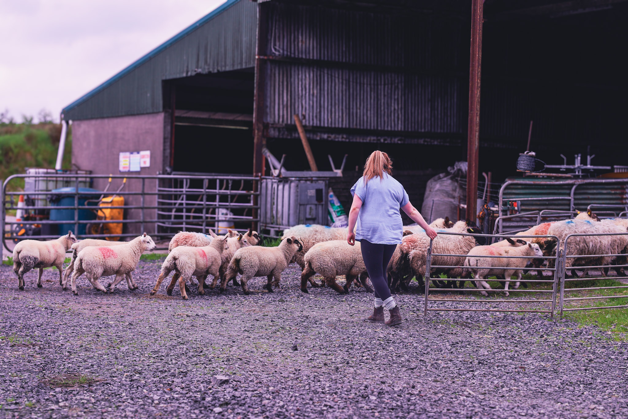 Making Farms Work for Women 2